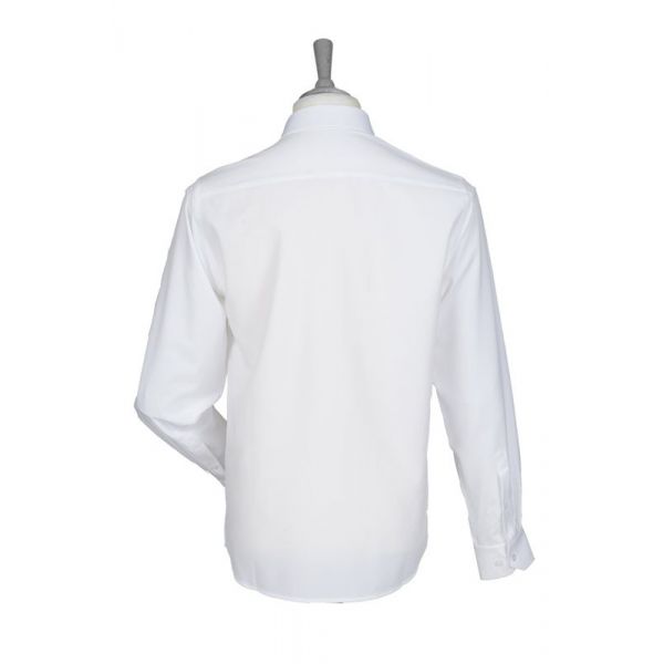 img_1549446043402036